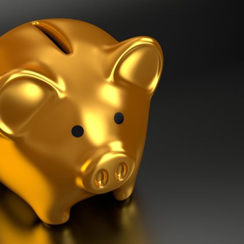 What Types of Expenses Does Child Support Cover