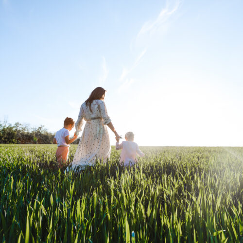 Do Courts Favor Mothers in Custody Cases in Nebraska?
